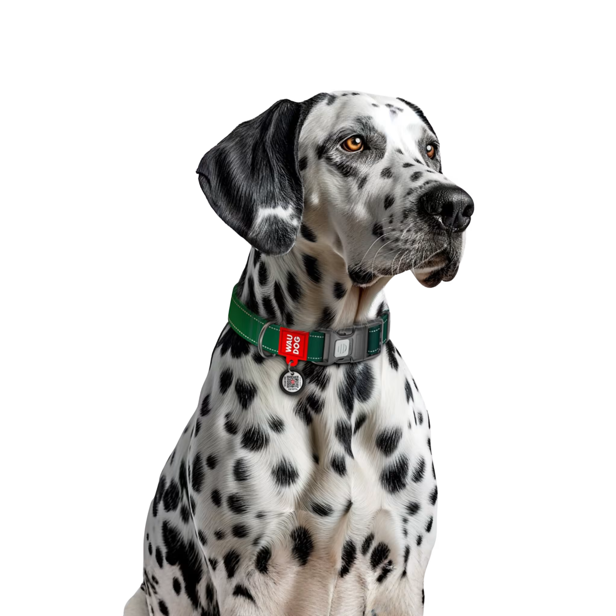 Mono Reflective Dog Collar with QR ID Tag