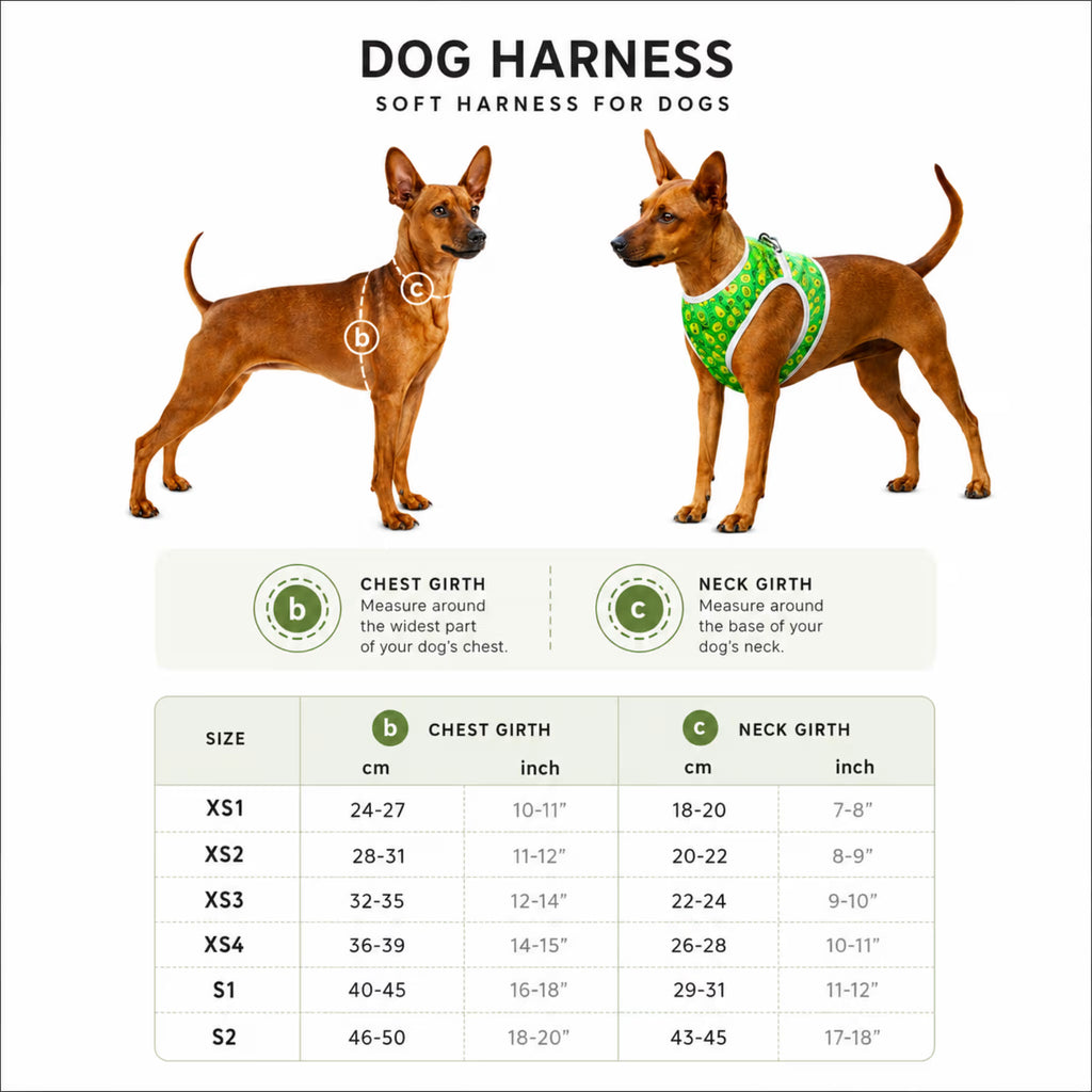 Soft Dog Harness Vest with Smart QR ID Tag - Avocado&Donuts Collection