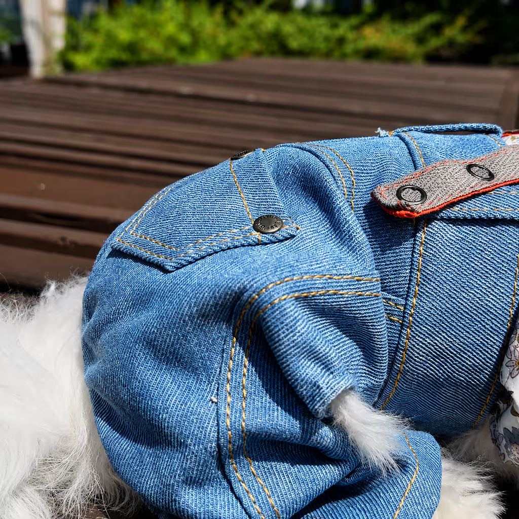 Jeans and Cap Denim Set for Small Dogs