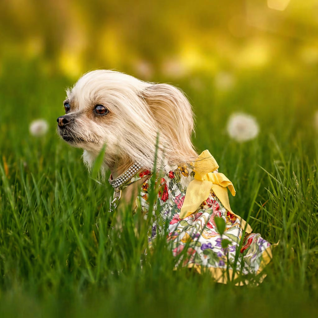 Kristi Linen Dog Dress – Lightweight Summer Outfit with Adjustable Fit