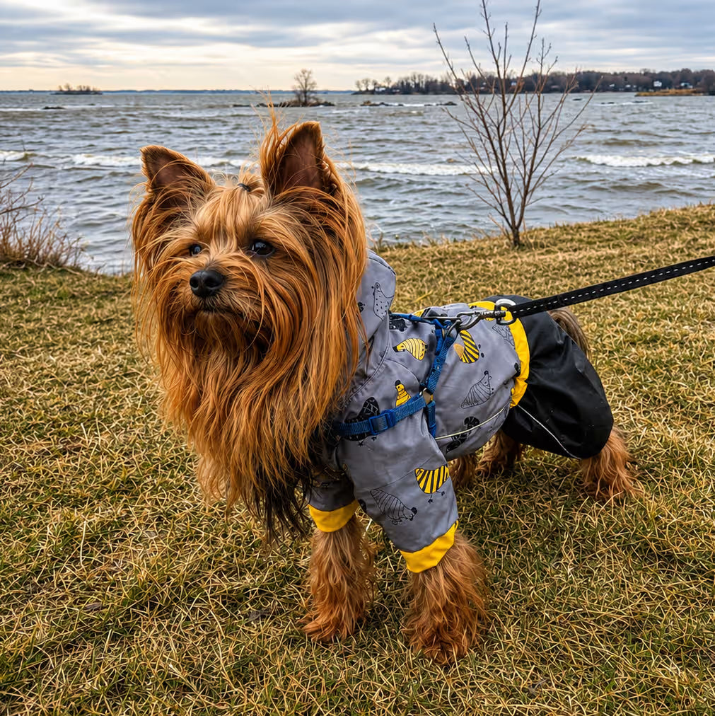 Waterproof Dog Raincoat for All-Weather Walks