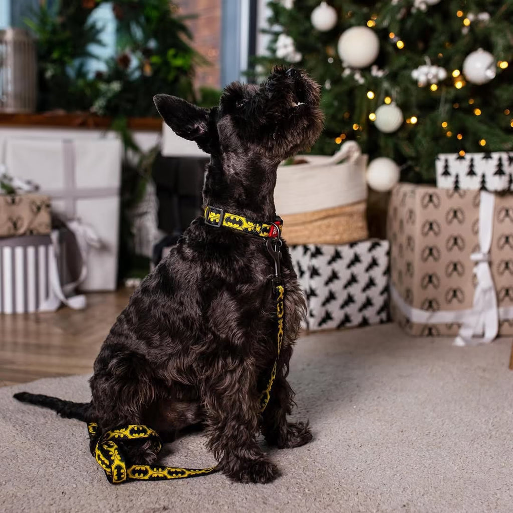 Batman Dog Collar & Leash Set with QR ID Tag