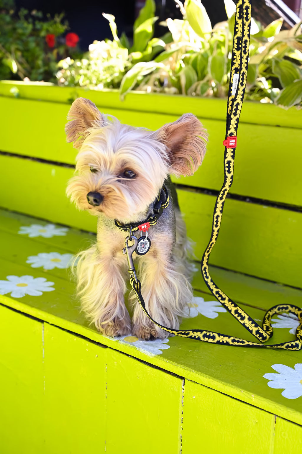 Batman Dog Collar & Leash Set with QR ID Tag