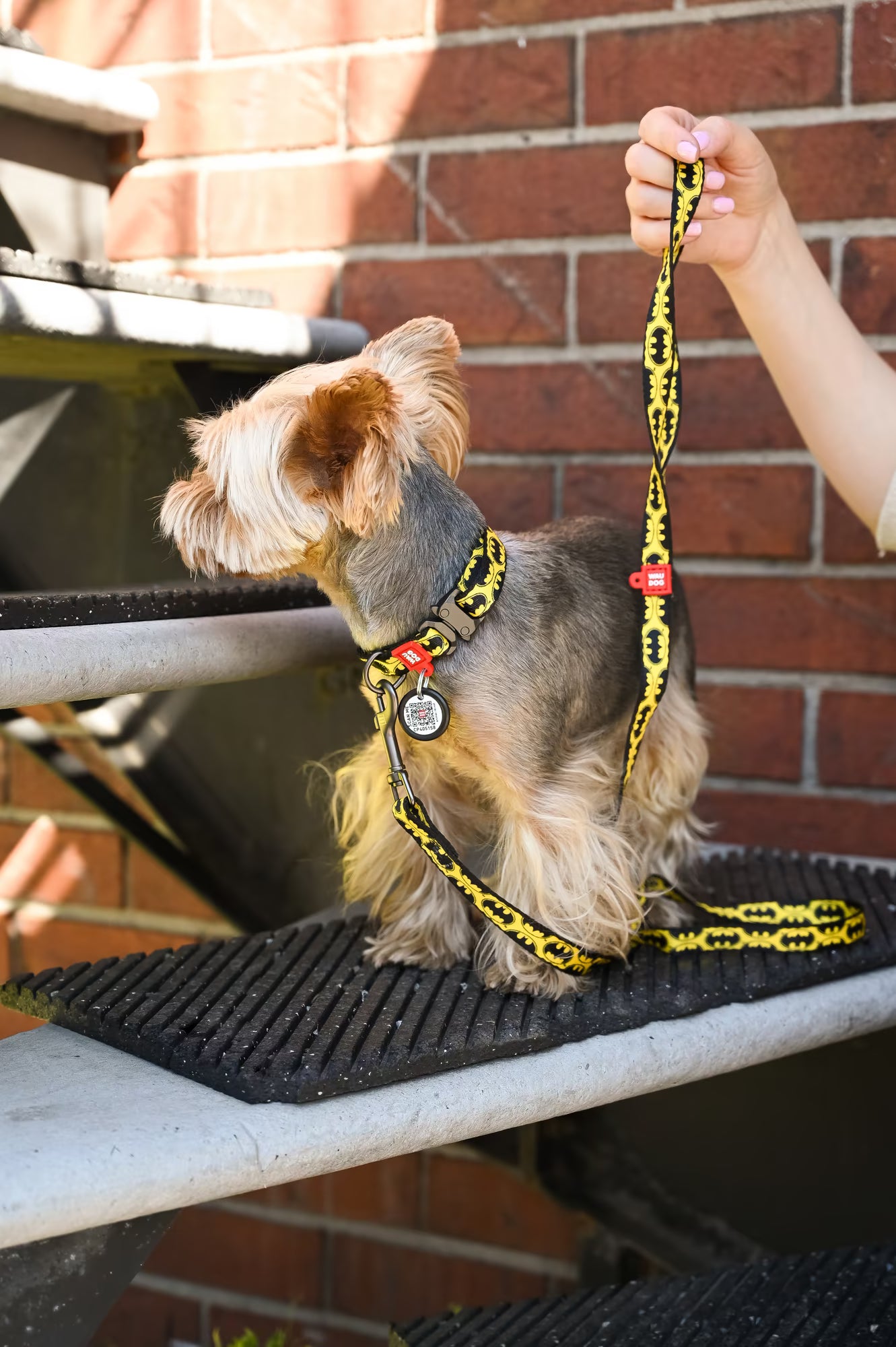 Batman Dog Collar & Leash Set with QR ID Tag