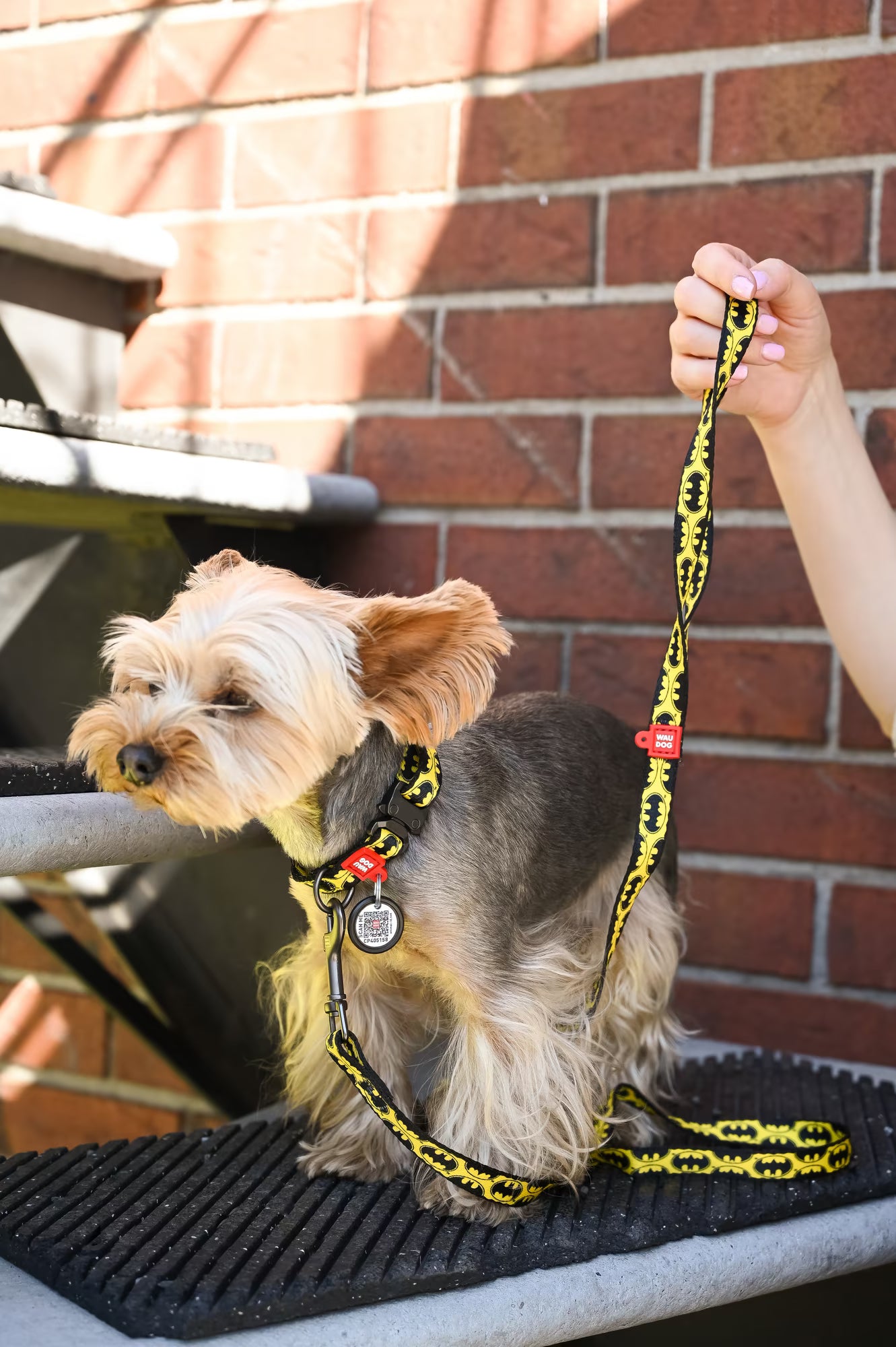 Batman Dog Collar & Leash Set with QR ID Tag