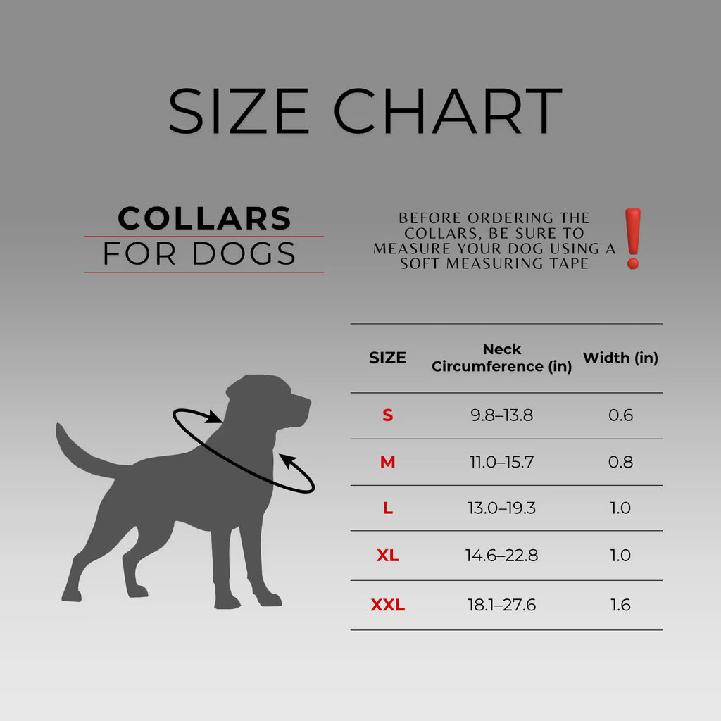 Nylon Dog Collar with Smart QR ID Tag - NASA21 Collection