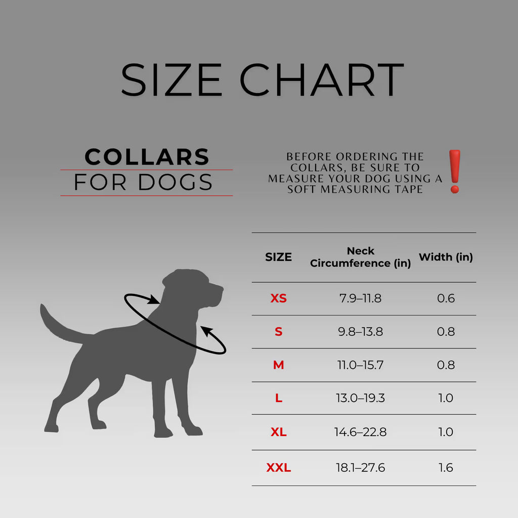 Nylon Dog Collar with Smart QR ID Tag - Leopard Collection
