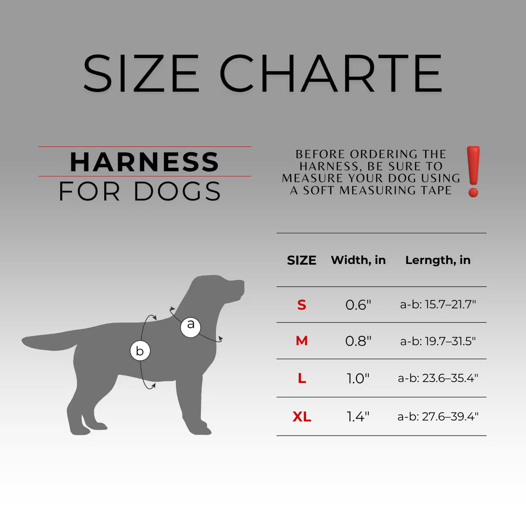 Nylon Dog Harness with Smart QR ID Tag – Indie Collection
