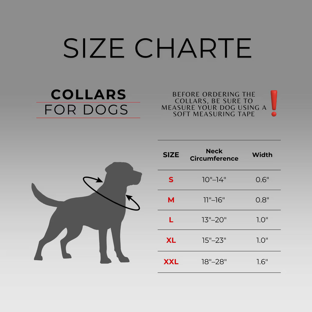 Waterproof Reflective Dog Collar with QR ID Tag