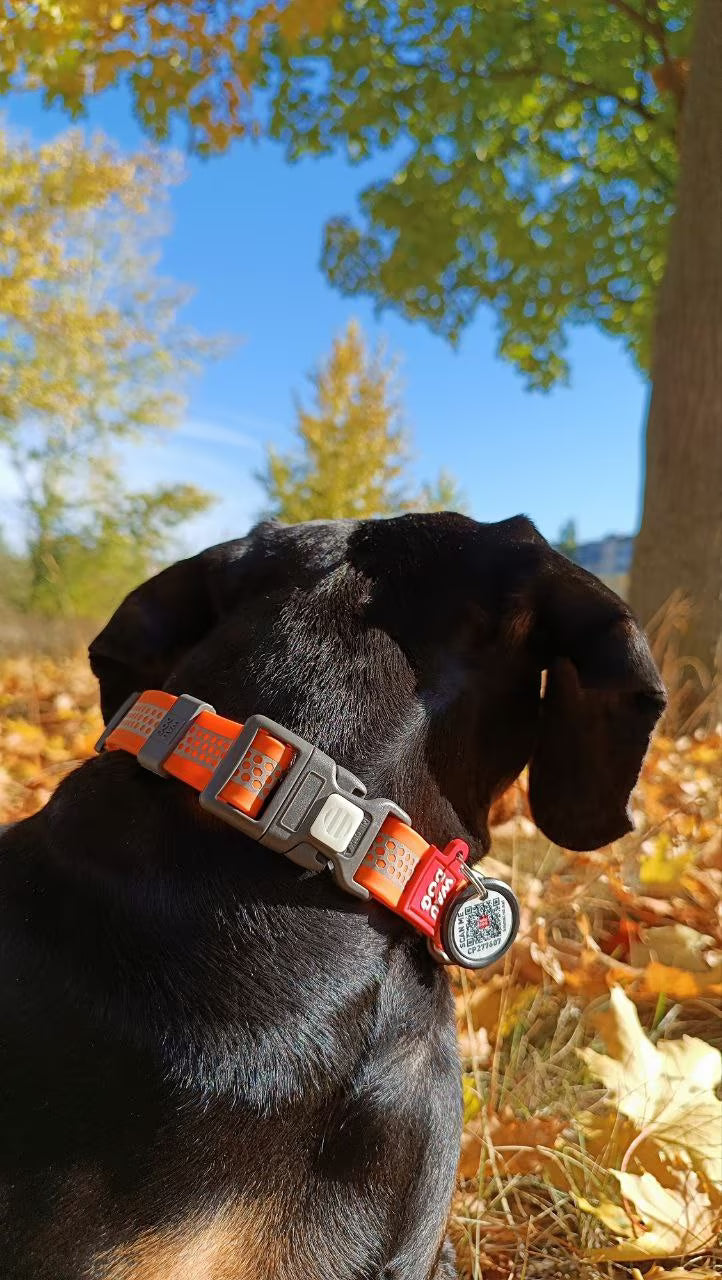 Waterproof Reflective Dog Collar & Leash Set with QR ID Tag