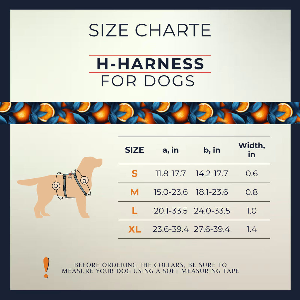 H-Harness Dog Harness with QR ID Tag – Monsters & Oranges Collection