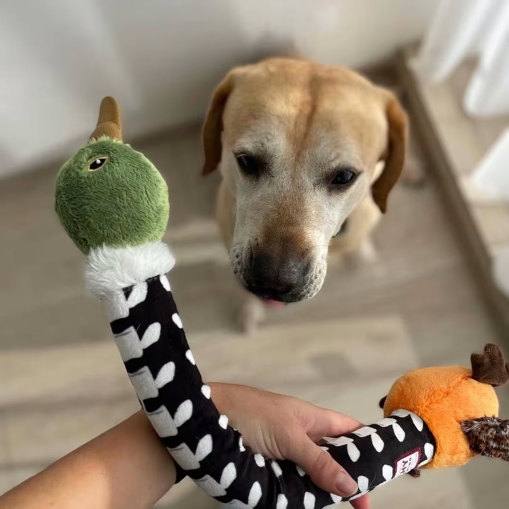 Crunchy Dog Toy - Interactive Play with Fun Crunch Sound