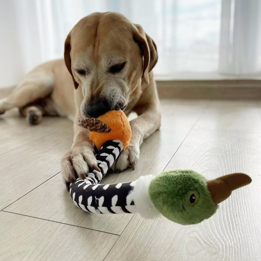 Crunchy Dog Toy - Interactive Play with Fun Crunch Sound