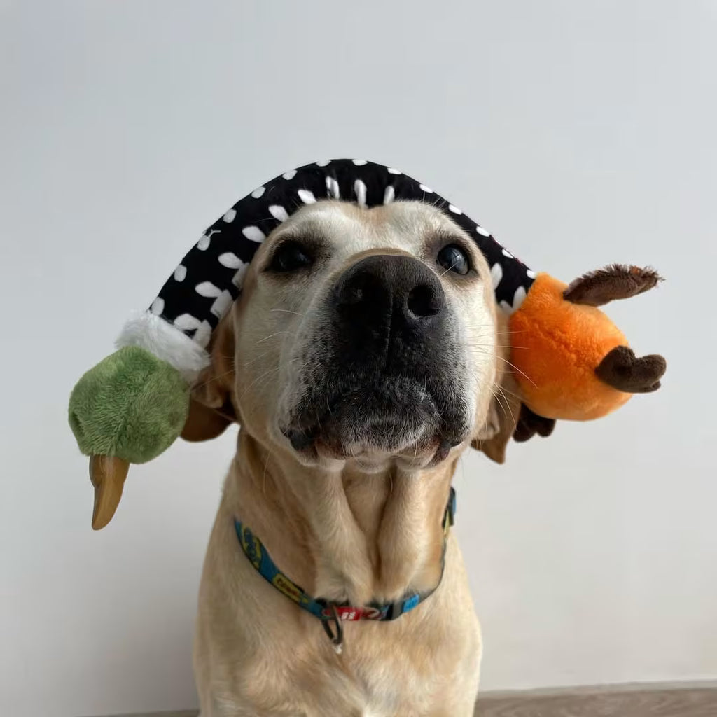 Crunchy Dog Toy - Interactive Play with Fun Crunch Sound