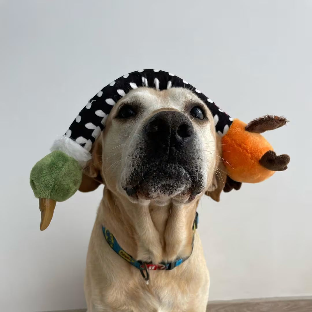 Crunchy Dog Toy - Interactive Play with Fun Crunch Sound